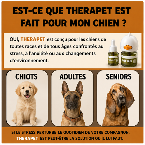 Diffuseur apaisant pour chiens